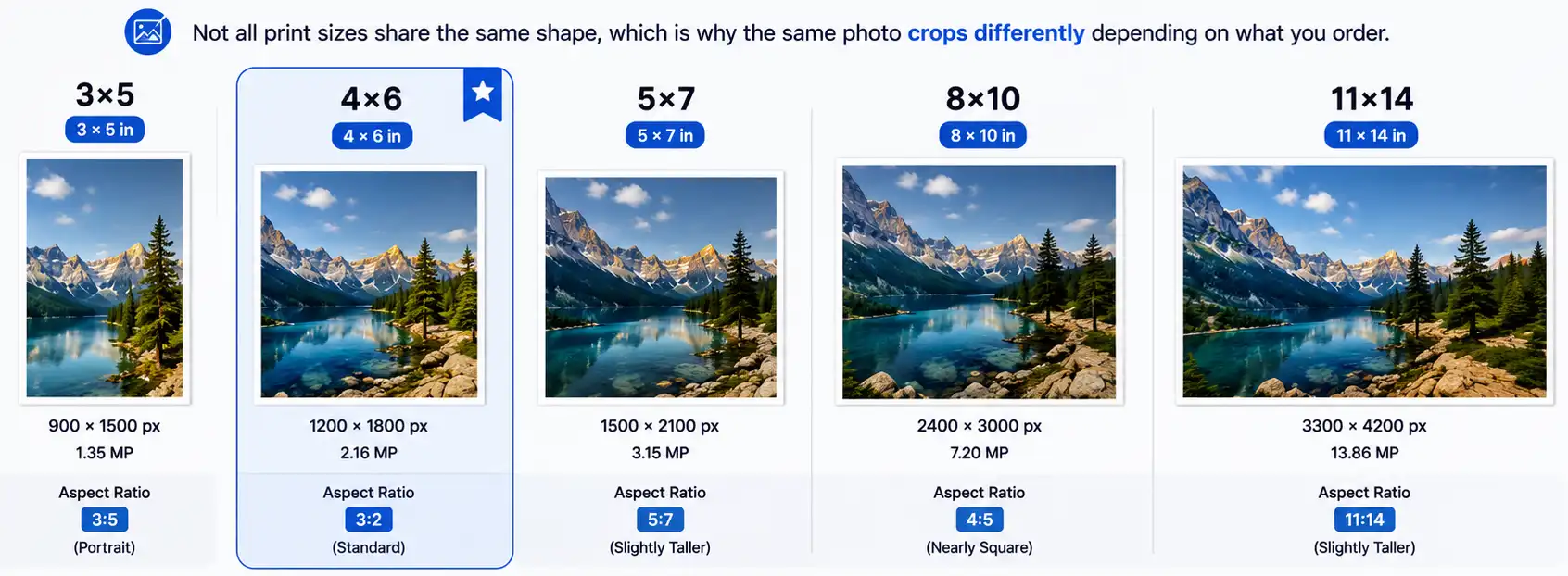 Photo Print Size Comparison Comparison of 3x5, 4x6, 5x7, 8x10 and 11x14 print sizes and aspect ratios